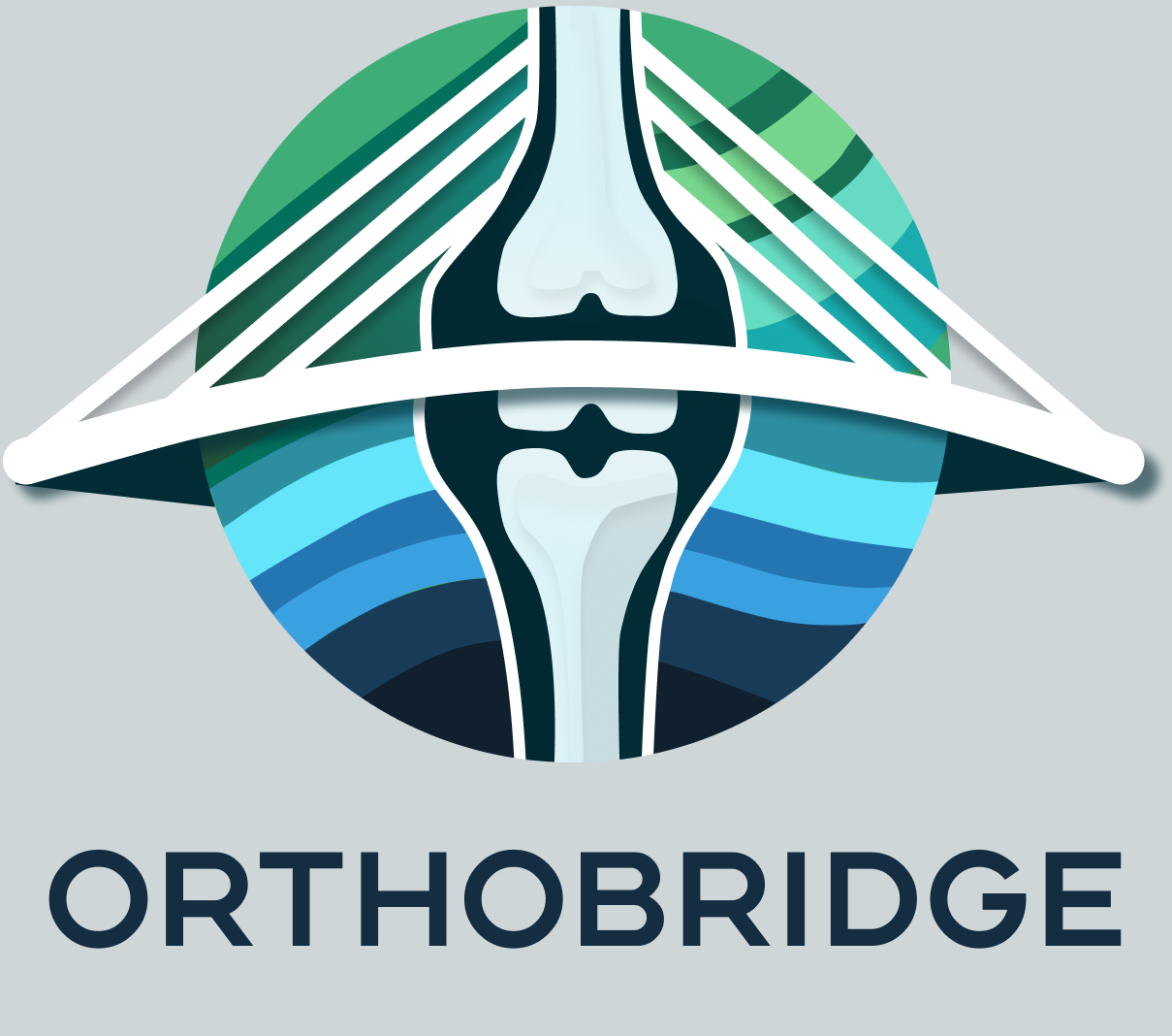 orthobridgeorthopedics